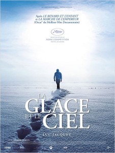 la glace et