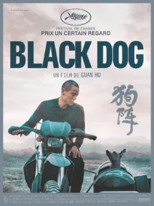 black-dog