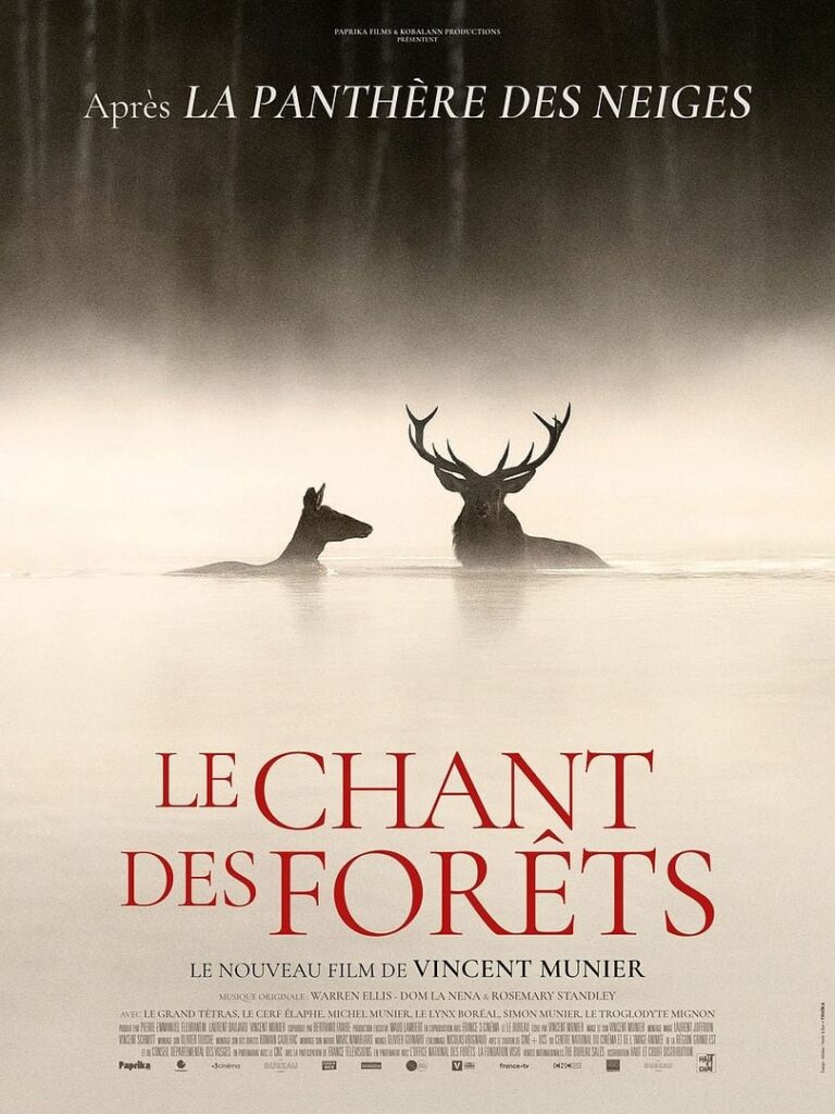le chant des forêts